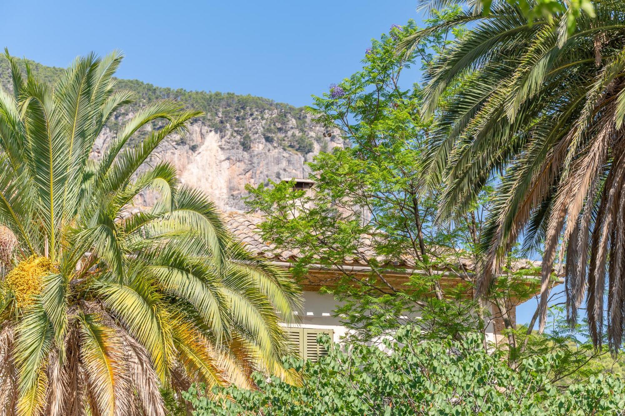 Agroturismo Filicumis By Mhr Lloseta Exterior photo